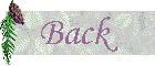 back.gif (2626 bytes)