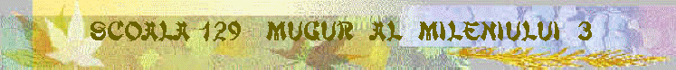 mugur.gif (43901 bytes)