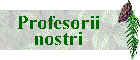 Profesorii nostri