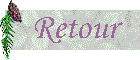 retour.gif (2665 bytes)